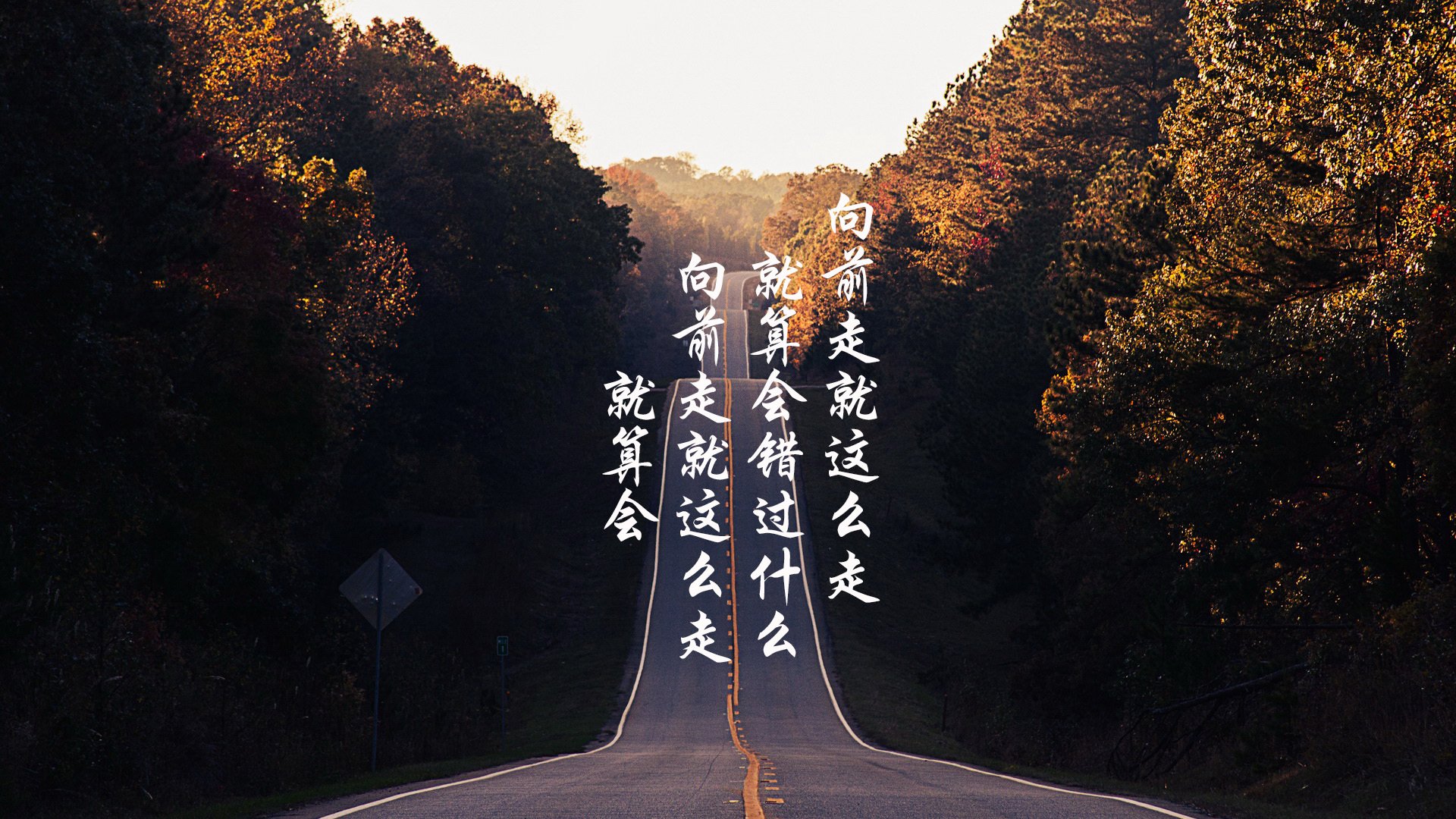 体育社会组织透明度与公信力提升路径，体育社会组织发展历程