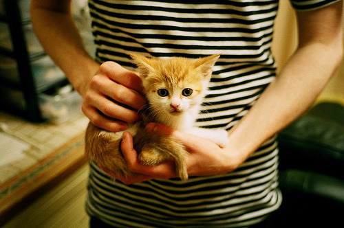 世界杯小组赛焦点战 英格兰21逆转德国,世界杯2022英格兰