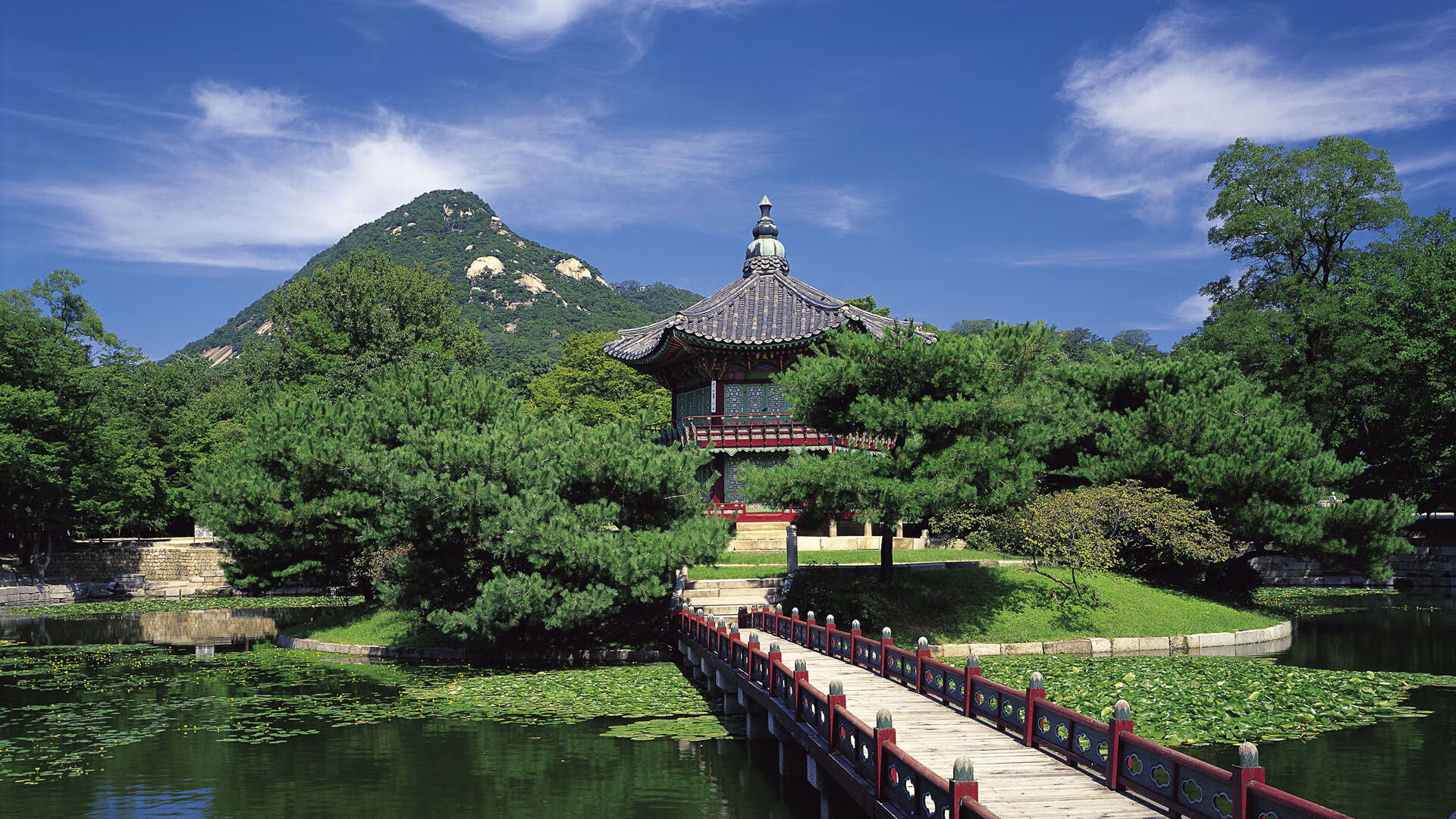 加拿大游泳队转身动作优化趋势,加拿大游泳margaret