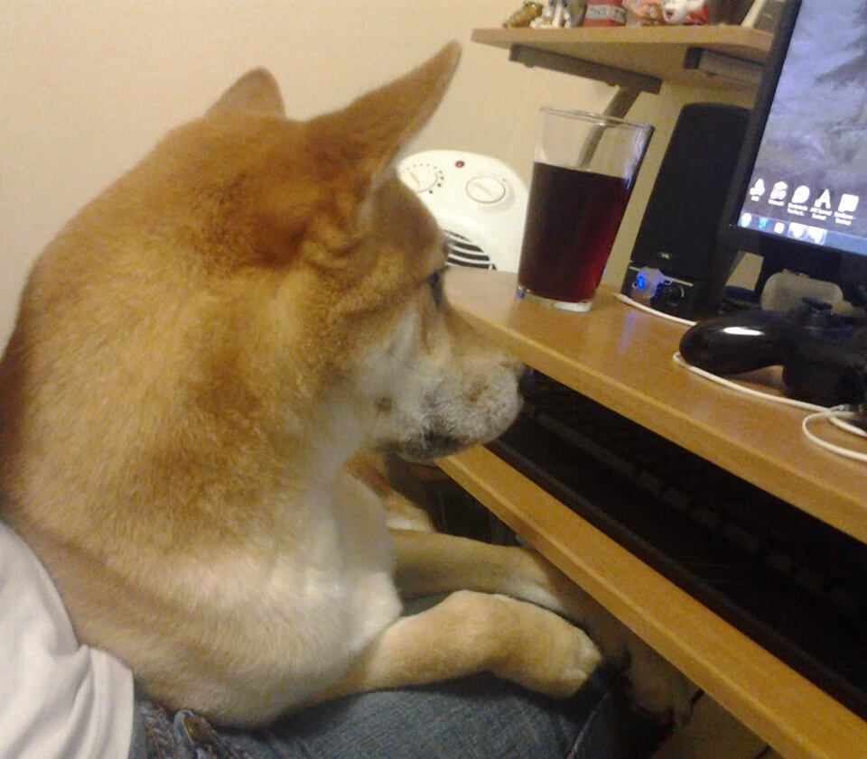 国家队核心更替缺乏连贯规划，国家队核心更替缺乏连贯规划的原因