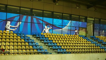 爱游戏体育官网-澳大利亚队未来如何利用青训体系打造新一代乒乓巨星，澳大利亚乒乓球