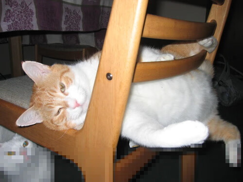 爱游戏体育在线-球迷热情低迷的根本原因是什么，为什么有些球迷对他的球队如此着迷