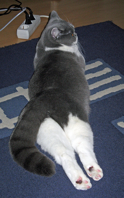 爱游戏app推荐-乔治攻防一体快船防守效率提升，快船乔治伤病