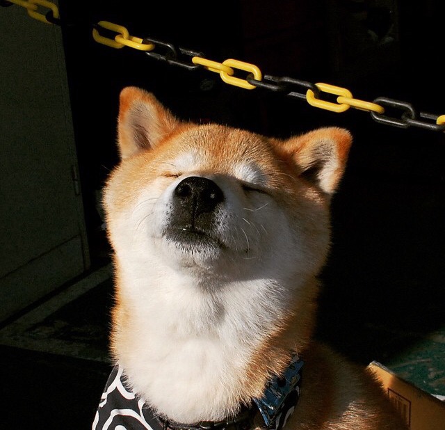 欧洲杯精彩纷呈:战术多变,精彩不断!,欧洲杯精彩程度