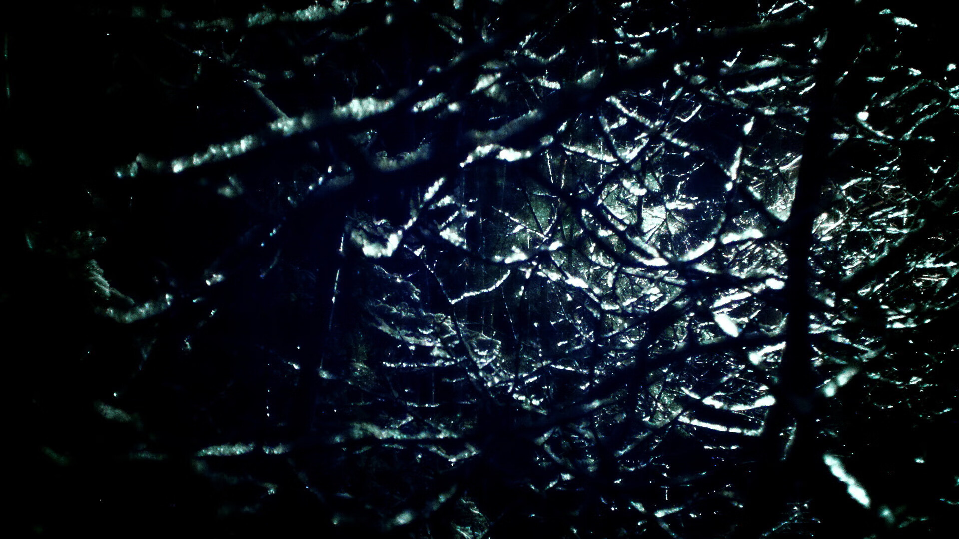 爱游戏入口-波兰泳坛骄傲赫梅列夫斯基奋勇拼搏，波兰诗人赫伯特