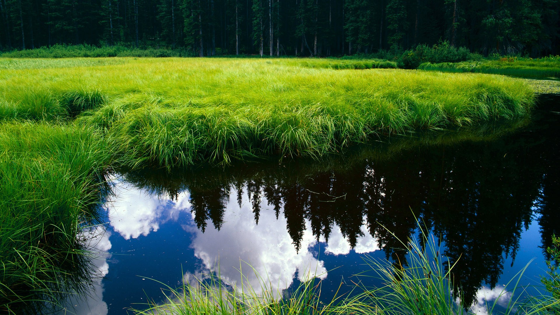爱游戏体育在线-足球运动员个人训练数据公开，推动科学训练普及，足球运动员训练项目