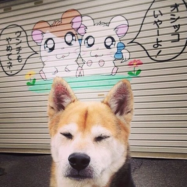 爱游戏-青年联赛全面升级助力高中篮球水平提升，青年篮球锦标赛